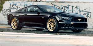 Automotive: Modern Muscle